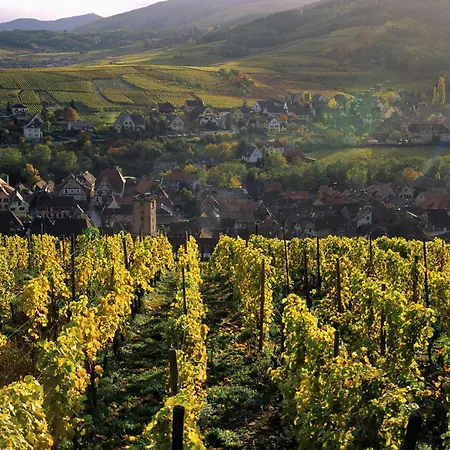 Jeannette Apartament *